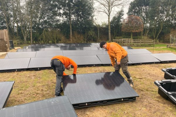 Ground Mounted Solar Case Study in Norfolk by Electric11