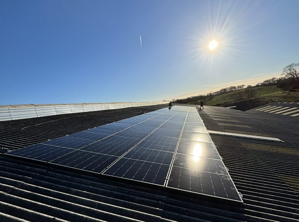 Are Solar Panels Worth it in 2025? With Electric11