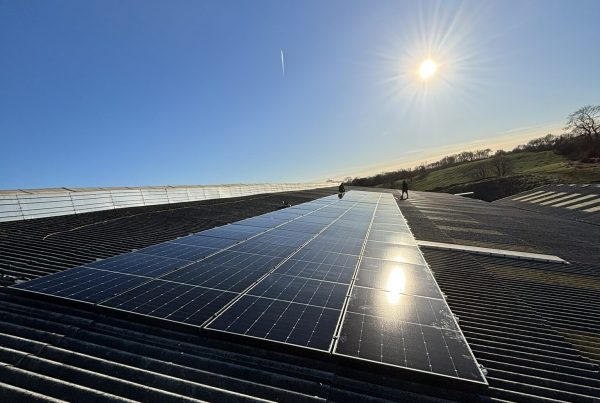 Are Solar Panels Worth it in 2025? With Electric11