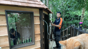 Powering Up A Tree House in Wymondham featured image