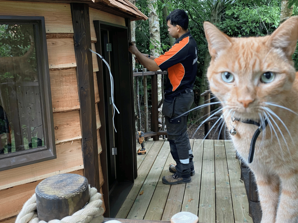 TreeHouse-Electricians-in-Wymondham