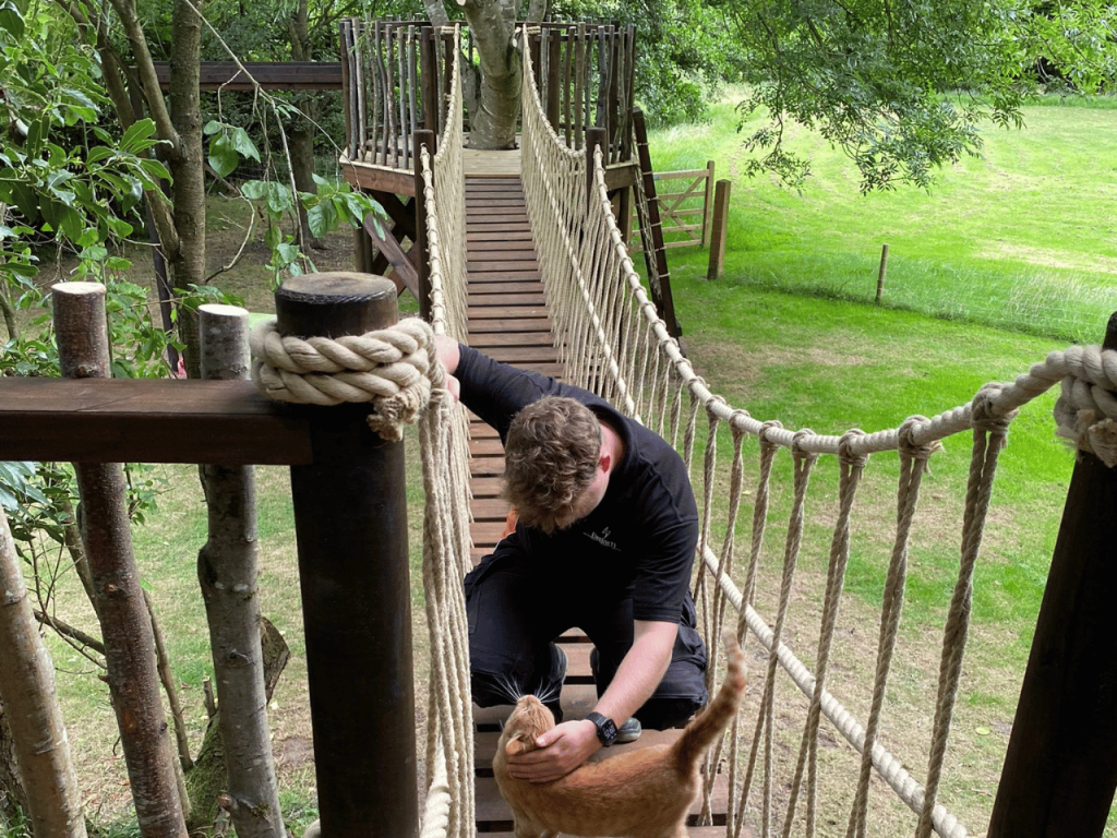Powering Up A Tree House in Wymondham