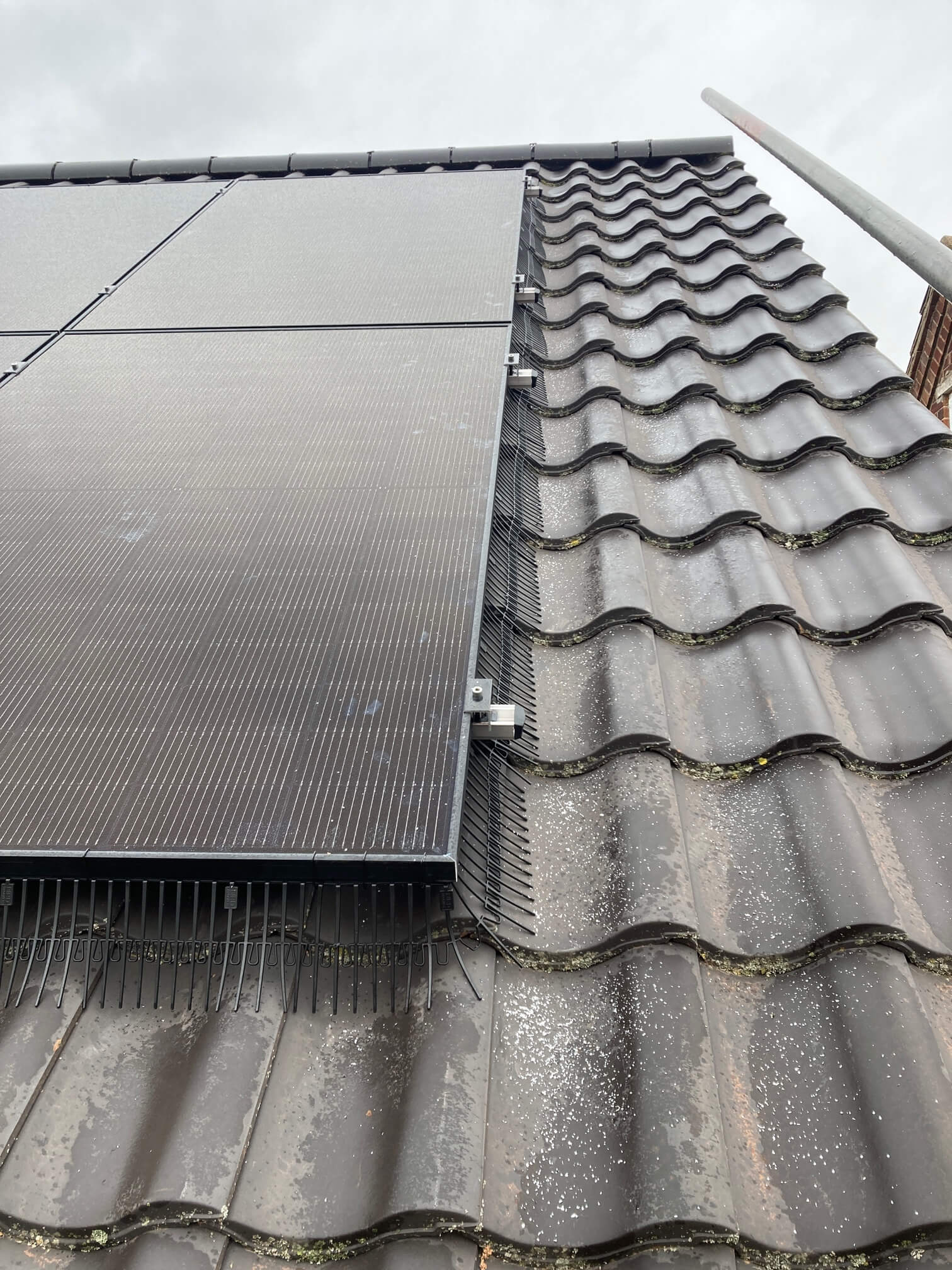 Close view of solar panel edges, mounting clamps and bird guards above roof tiles